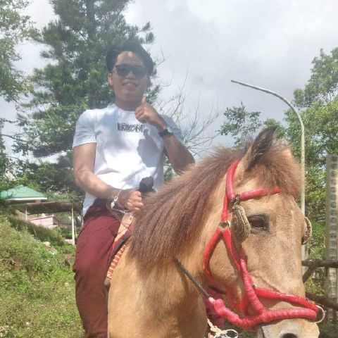 zeusdado