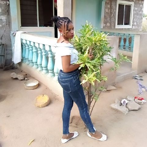 Harietmapenzi