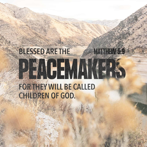 Romans_828