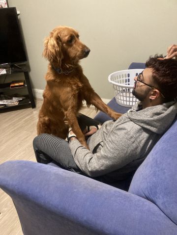 olypak is Single in Hills, New South Wales, 2