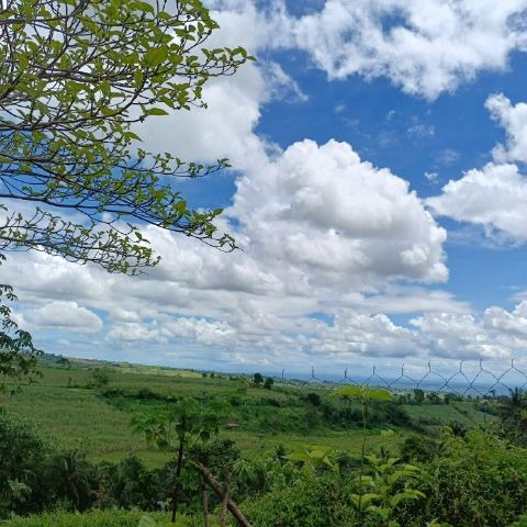 canoy1234 is Single in Sagay, Negros Occidental, 4