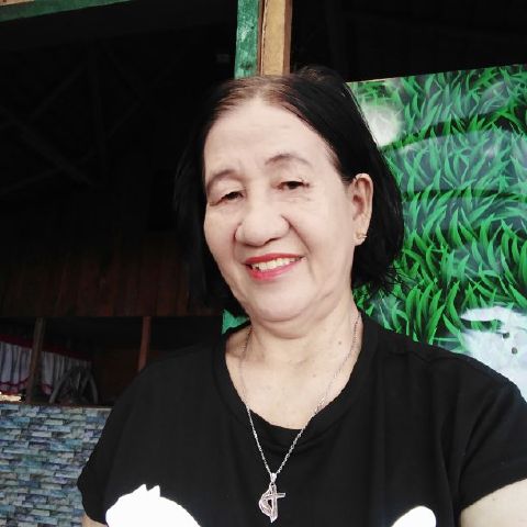 Jocelyn_66 is Single in Bunawan, Agusan del Sur, 2