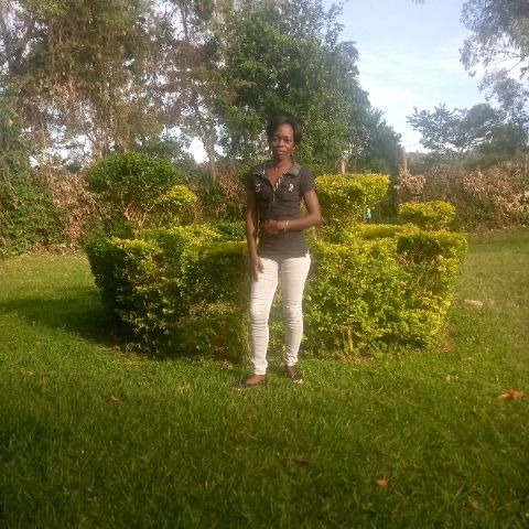 phlou