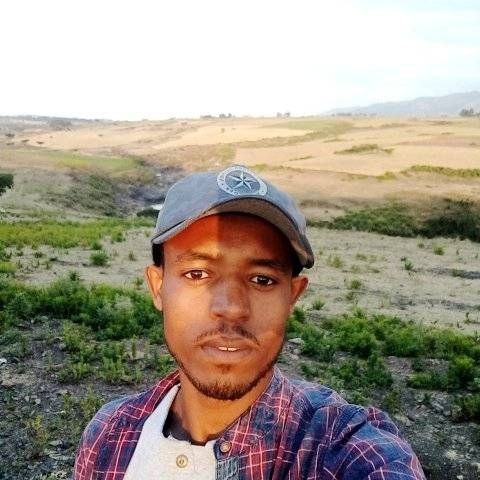 Wafi