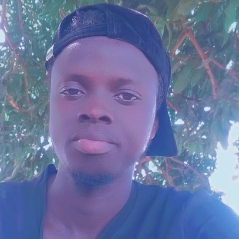 Lamin188