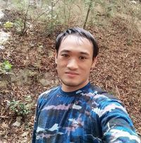 DionProvo