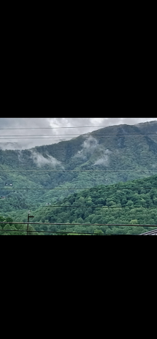 Olreb01 is Single in ROME, Georgia, 1