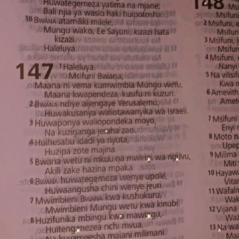 LizY290