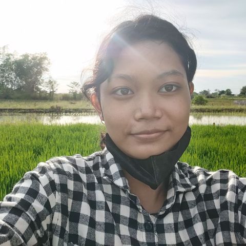 vaniariella