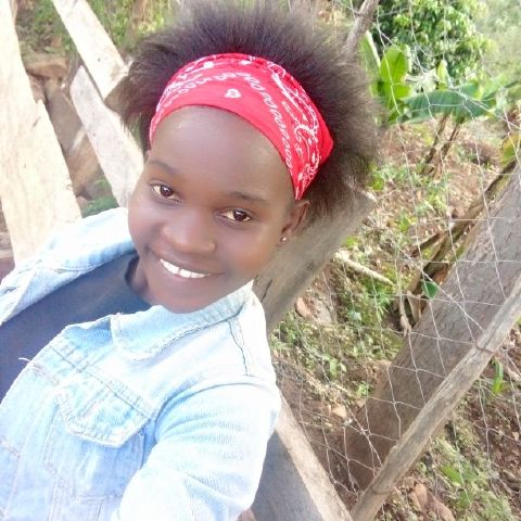 Silviajerotich
