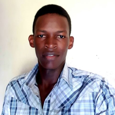 Wallesi