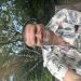 pawsey43 is Single in Anywhere, Wales