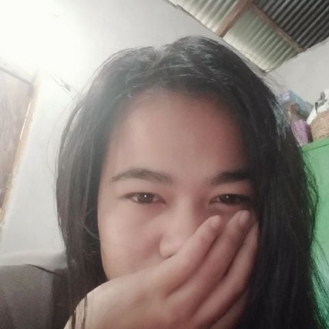 Linlin27
