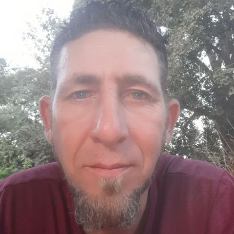 MrKabous