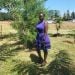Est85 is Single in Kisumu, Nyanza, 6