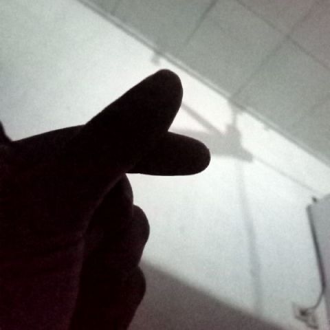 lilismarbun512