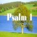Psalm_1 is Single in Bay Area, California, 1