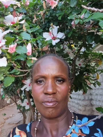 Ella53