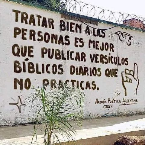 Nicauris527