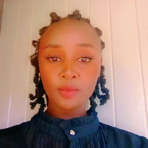 Sheddytoo
