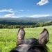 horsewoman6 is Single in Silver Star, Montana, 2