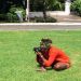 Charlie44 is Single in Coral Springs, Florida, 3