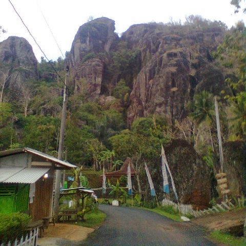 RiniIs