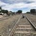 Ant0ny1 is Single in guadalupe, Nuevo Leon