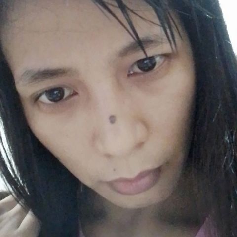 hesty31