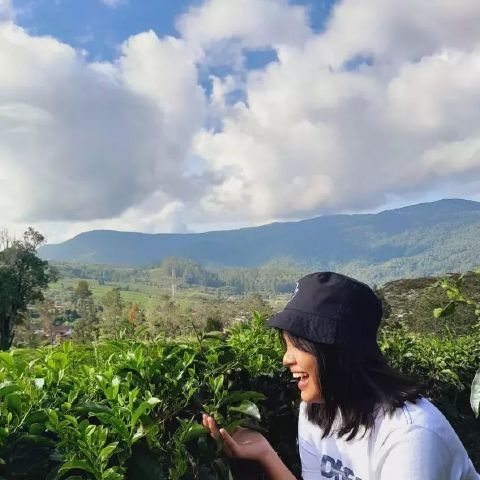 Mirandaj02