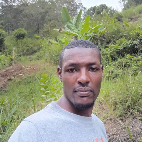 gideon21