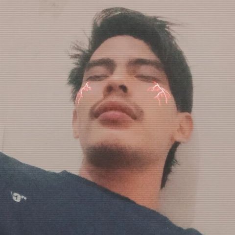Sandi12