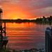 Visiondreamer is Single in Winter Park, Florida