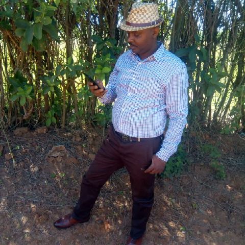 Joe0254