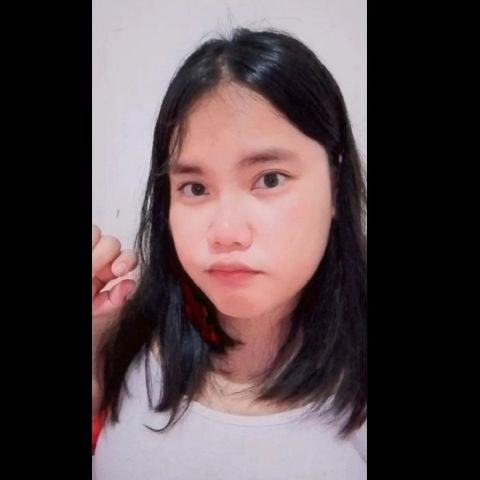 srmeii