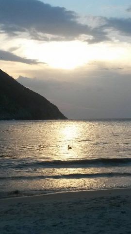 odalisp1 is Single in Coral Springs, Florida, 3