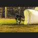 Bretton84 is Single in Boiling Springs, South Carolina, 6