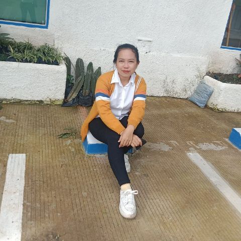 Ropit