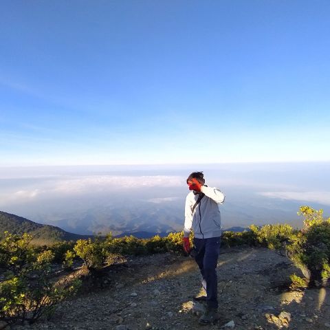 Hagai21
