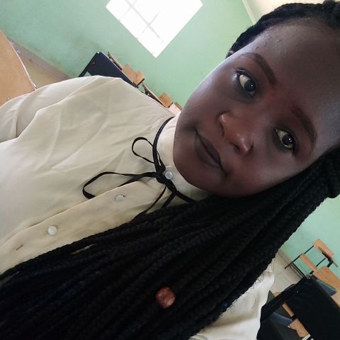 Macreen254