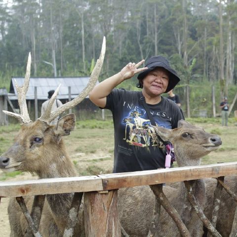 Ika_Wulan