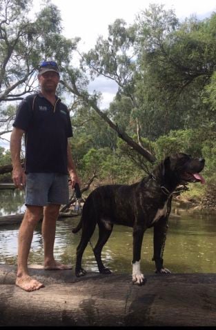 Chrism72 is Single in Central Qld, Queensland, 6
