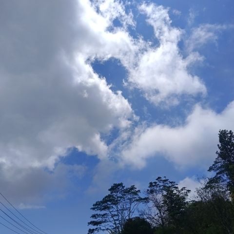 Sya_