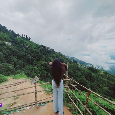 _stella