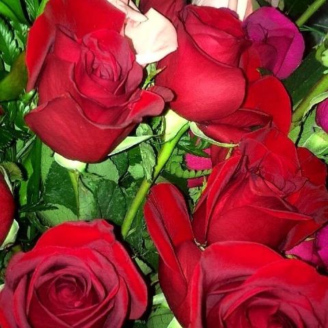 Sharon873