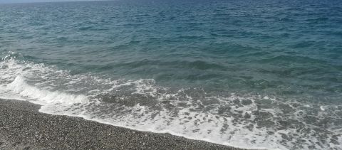 Luca__