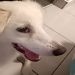 CherryLeo is Single in HAMILTON, Ontario