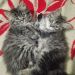SandyyX is Single in Cairo, Al Qahirah