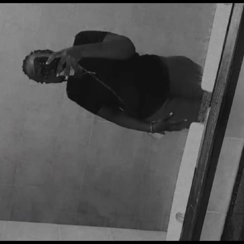 Sylviaogembo