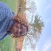 Joypatience is Single in ALEXANDRIA, Virginia, 3